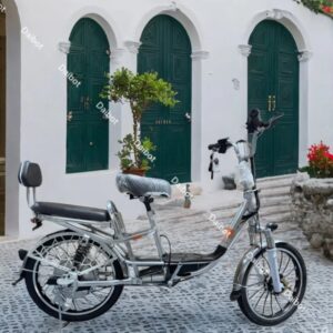 TWO WHEELS 20 INCH 48V 350W 240W RANGE 80KM POWERFUL ELECTRIC BIKE