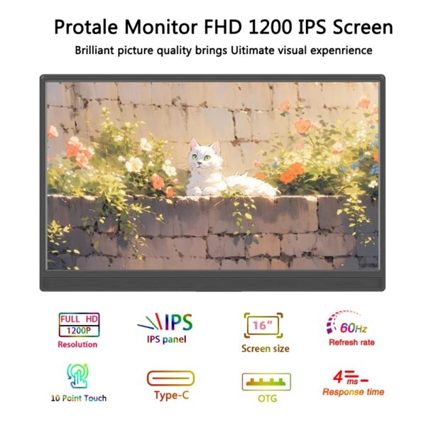 NOENNAME_NULL  PORTABLE TOUCHSCREEN FHD IPS PANEL SECONDARY DISPLAY COMPUTER MONITOR - Image 3