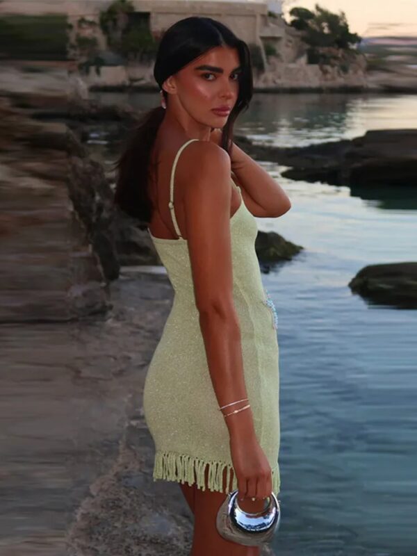 SUMMER  SLEEVELESS BACKLESS TASSEL MINI DRESS - Image 3