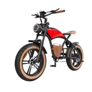 HIDOES HD-B10 1000W 48V13AH LITHIUM BATTERY ELECTRIC BIKE