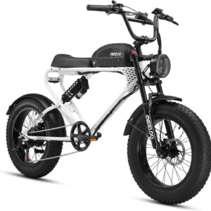 1200W PEAK POWER BRUSHLESS MOTOR 48V 20AH REMOVABLE BATTERY EBIKE