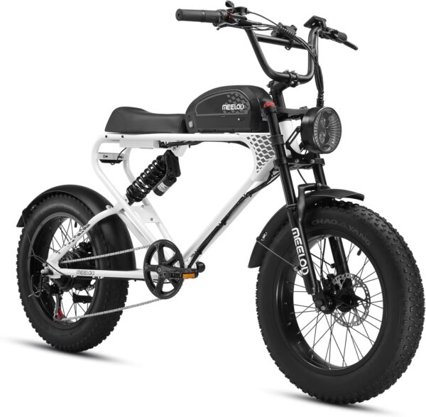 1200W PEAK POWER BRUSHLESS MOTOR 48V 20AH REMOVABLE BATTERY EBIKE