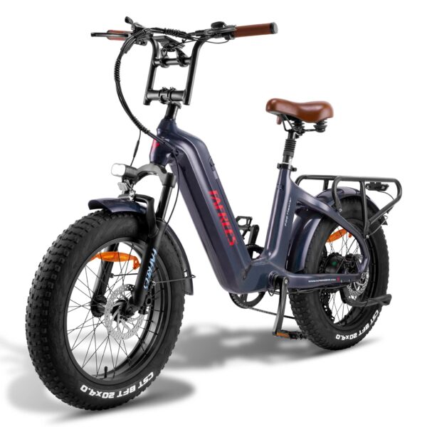 FAFREES F20 MASTER 500W 48V22.5AH 20 INCH OUTDOOR CARBON-FIBER FAT ELECTRIC BIKE