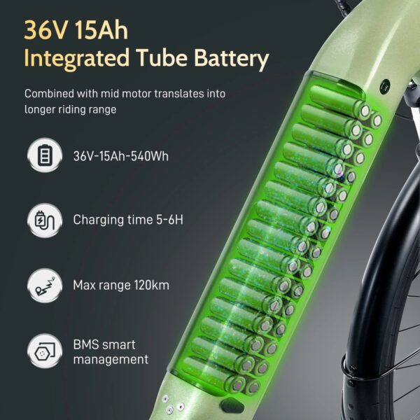 FAFREES 250W WITH 36V 15AH BATTERY EBIKE - Image 3