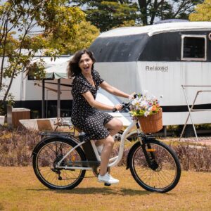 DYU C6 36V 12.5AH 25KM/H MAX SPEED 26' SPORTS & ENTERTAINMENT EBIKE