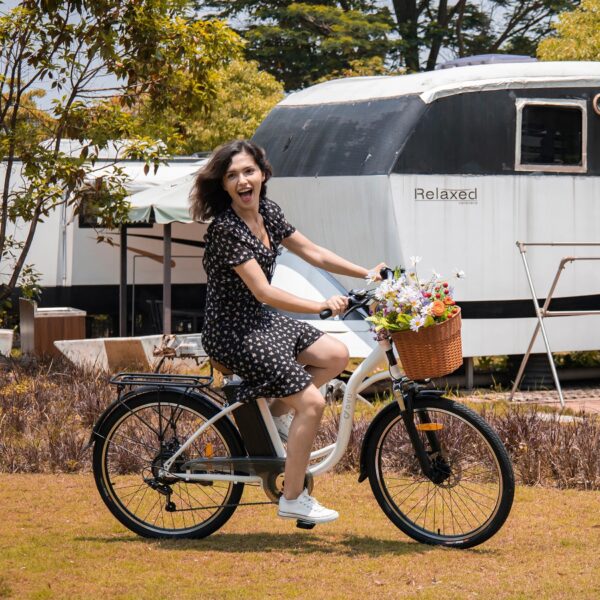 DYU C6 36V 12.5AH 25KM/H MAX SPEED 26' SPORTS & ENTERTAINMENT EBIKE
