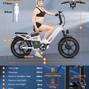 W WALLKE 60AH/40AH 3200W 20*4.0'' FAT TIRE APP CONTROL LONG RANGE EBIKE