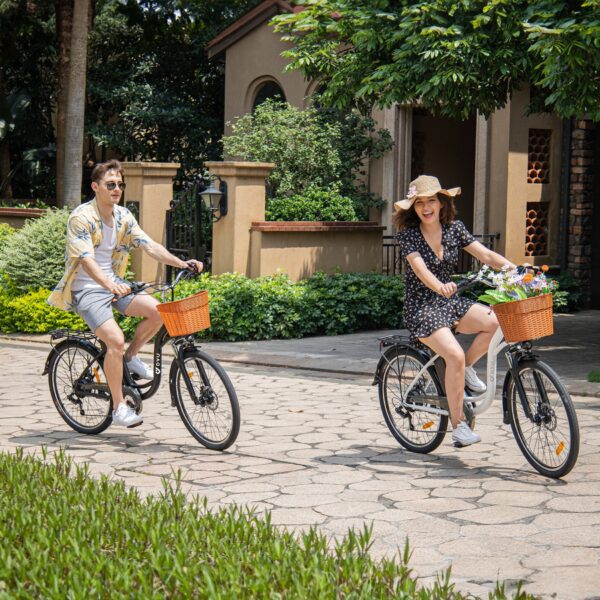DYU C6 36V 12.5AH 25KM/H MAX SPEED 26' SPORTS & ENTERTAINMENT EBIKE - Image 2